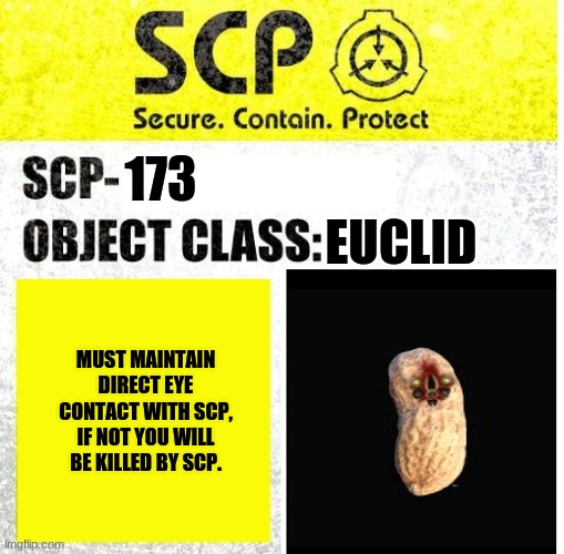 the peanut | 173; EUCLID; MUST MAINTAIN DIRECT EYE CONTACT WITH SCP, IF NOT YOU WILL BE KILLED BY SCP. | image tagged in scp sign generator | made w/ Imgflip meme maker