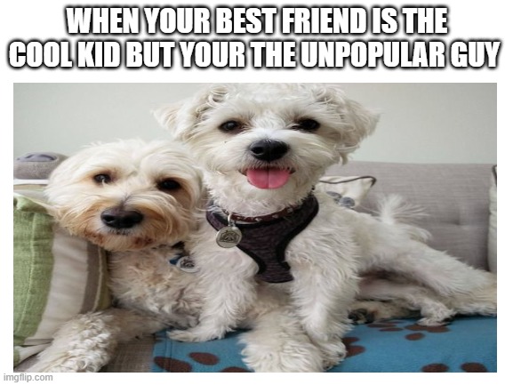 im the unpopular guy | WHEN YOUR BEST FRIEND IS THE COOL KID BUT YOUR THE UNPOPULAR GUY | image tagged in funny | made w/ Imgflip meme maker