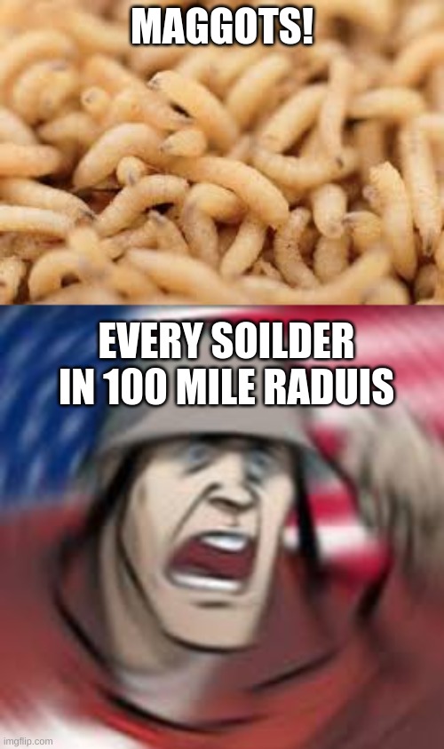solider be like | MAGGOTS! EVERY SOILDER IN 100 MILE RADUIS | image tagged in tf2 | made w/ Imgflip meme maker