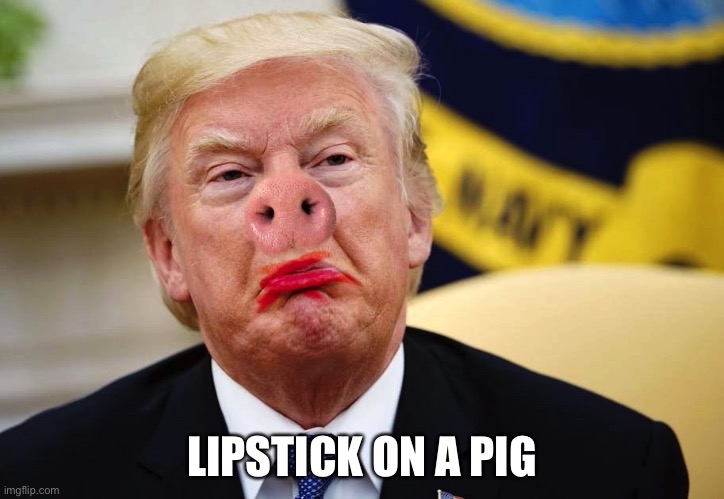 Lipstick on a pig | LIPSTICK ON A PIG | image tagged in lipstick on a pig,trump,lipstick,pig | made w/ Imgflip meme maker