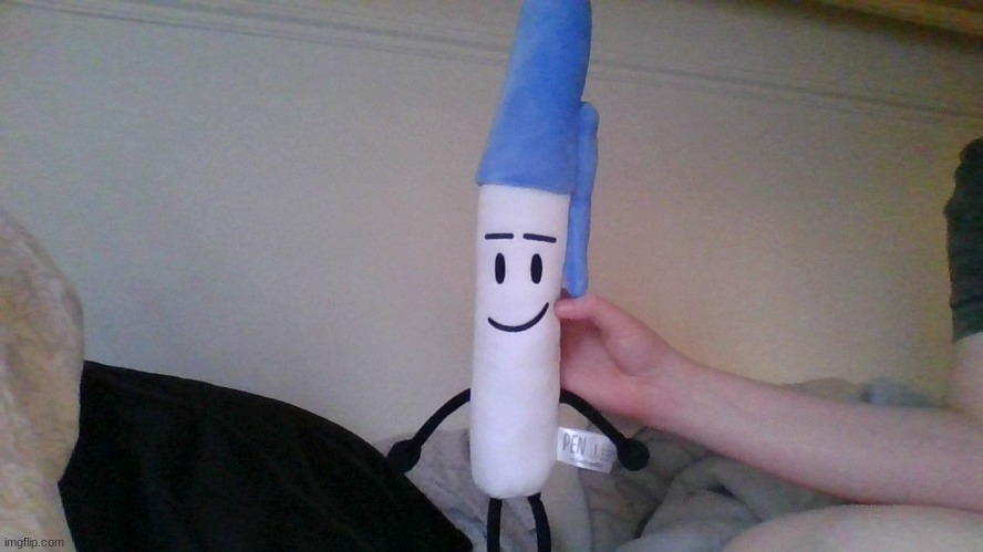 i just got bfb pen plush today lol | image tagged in plush,pen,bfb | made w/ Imgflip meme maker