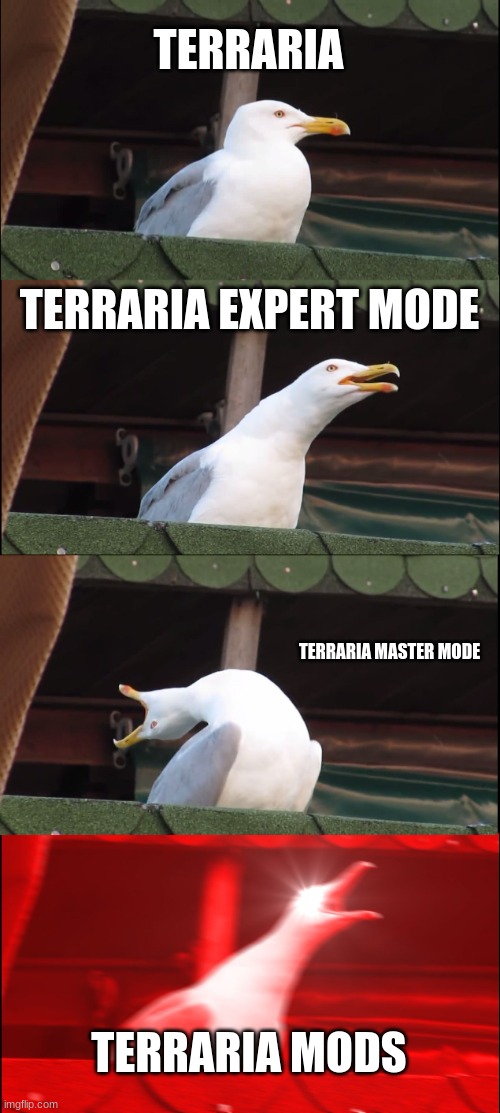 Inhaling Seagull Meme | TERRARIA; TERRARIA EXPERT MODE; TERRARIA MASTER MODE; TERRARIA MODS | image tagged in memes,inhaling seagull | made w/ Imgflip meme maker