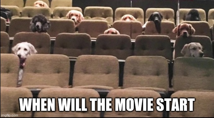 yes | WHEN WILL THE MOVIE START | image tagged in movie | made w/ Imgflip meme maker