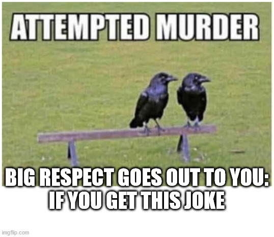Attempted Murder | BIG RESPECT GOES OUT TO YOU:
IF YOU GET THIS JOKE | image tagged in haiku,meme,crow,murder,bad pun | made w/ Imgflip meme maker
