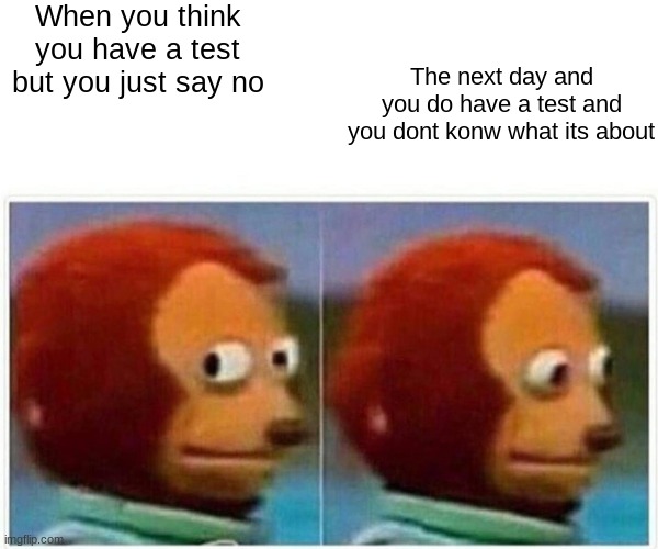 Monkey Puppet Meme | When you think you have a test but you just say no; The next day and you do have a test and you dont konw what its about | image tagged in memes,monkey puppet | made w/ Imgflip meme maker