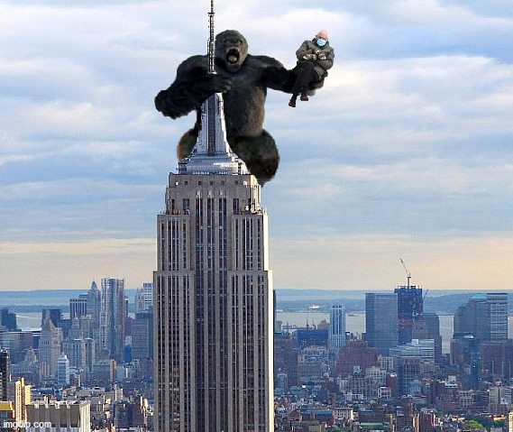 King Kong | image tagged in bernie mitttens,king kong | made w/ Imgflip meme maker