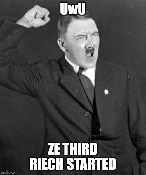 Angry Hitler | UwU ZE THIRD RIECH STARTED | image tagged in angry hitler | made w/ Imgflip meme maker