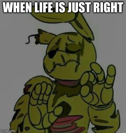 When x is just right Springtrap | WHEN LIFE IS JUST RIGHT | image tagged in when x is just right springtrap | made w/ Imgflip meme maker