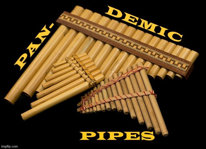 Pandemic pipes | image tagged in woodwind,organ,latina,latino,instruments,music | made w/ Imgflip meme maker