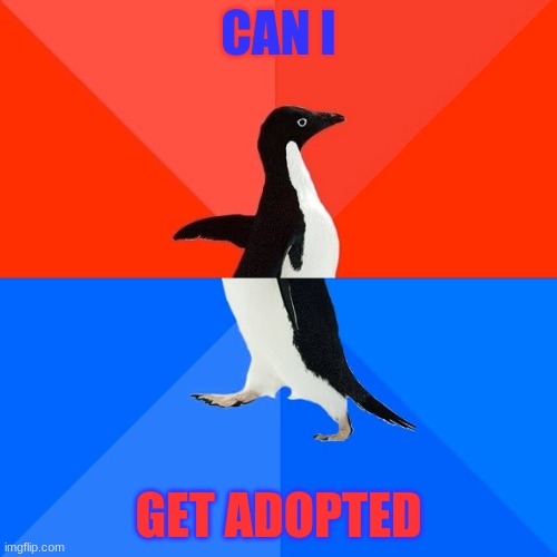 Socially Awesome Awkward Penguin | CAN I; GET ADOPTED | image tagged in memes,socially awesome awkward penguin | made w/ Imgflip meme maker