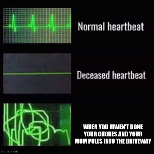 My mom actually pulled into the driveway while I was making this (NGL) | WHEN YOU HAVEN'T DONE YOUR CHORES AND YOUR MOM PULLS INTO THE DRIVEWAY | image tagged in heartbeat rate | made w/ Imgflip meme maker