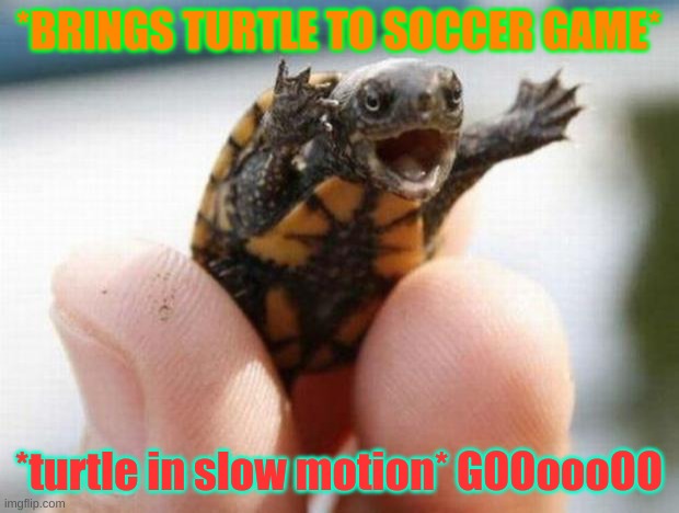 happy baby turtle | *BRINGS TURTLE TO SOCCER GAME*; *turtle in slow motion* GOOoooOO | image tagged in happy baby turtle | made w/ Imgflip meme maker