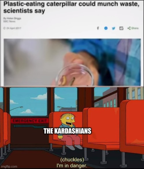better watch out- | THE KARDASHIANS | image tagged in im in danger | made w/ Imgflip meme maker