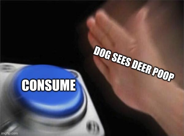 MY DOG | DOG SEES DEER POOP; CONSUME | image tagged in memes,blank nut button | made w/ Imgflip meme maker