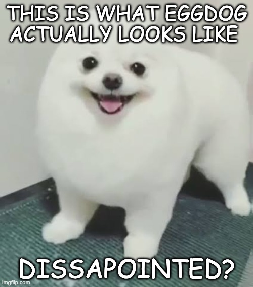 Dissapointment | THIS IS WHAT EGGDOG ACTUALLY LOOKS LIKE; DISSAPOINTED? | image tagged in dissapointment | made w/ Imgflip meme maker