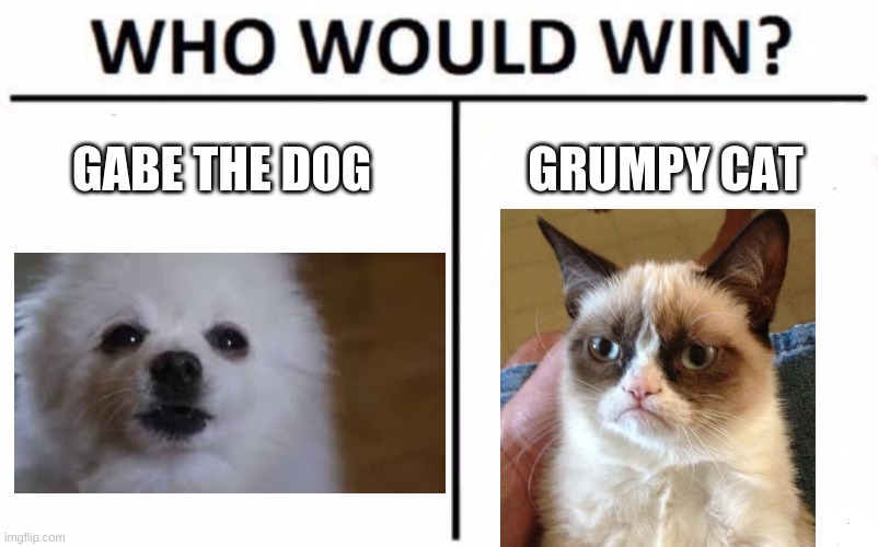 Who Would Win? | GABE THE DOG; GRUMPY CAT | image tagged in memes,who would win | made w/ Imgflip meme maker