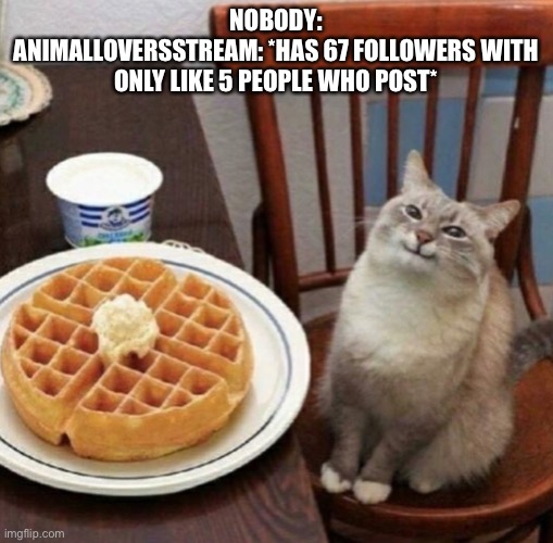 M e o w | NOBODY:
ANIMALLOVERSSTREAM: *HAS 67 FOLLOWERS WITH ONLY LIKE 5 PEOPLE WHO POST* | image tagged in cat likes their waffle,m e o w,oh wow are you actually reading these tags | made w/ Imgflip meme maker