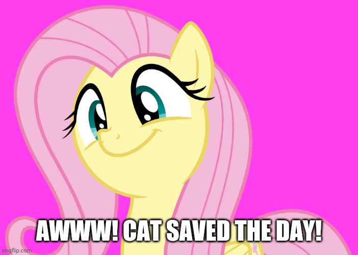 AWWW! CAT SAVED THE DAY! | made w/ Imgflip meme maker