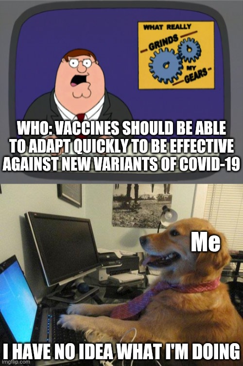 WHO: VACCINES SHOULD BE ABLE TO ADAPT QUICKLY TO BE EFFECTIVE AGAINST NEW VARIANTS OF COVID-19; Me; I HAVE NO IDEA WHAT I'M DOING | image tagged in memes,peter griffin news,i have no idea | made w/ Imgflip meme maker