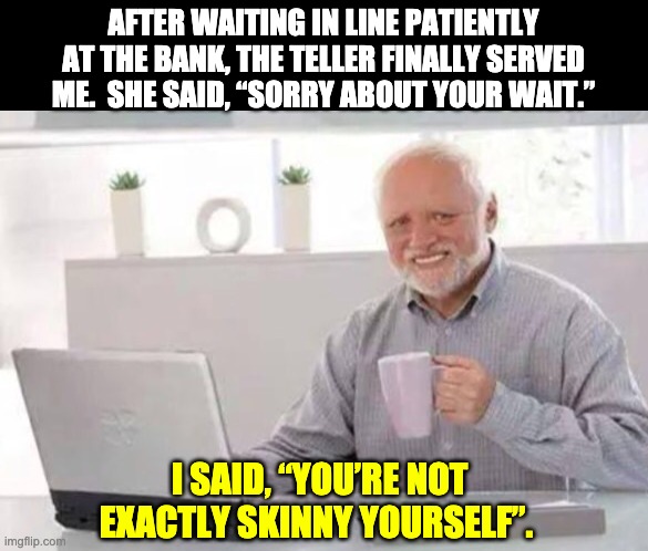 Wait | AFTER WAITING IN LINE PATIENTLY AT THE BANK, THE TELLER FINALLY SERVED ME.  SHE SAID, “SORRY ABOUT YOUR WAIT.”; I SAID, “YOU’RE NOT EXACTLY SKINNY YOURSELF”. | image tagged in harold | made w/ Imgflip meme maker
