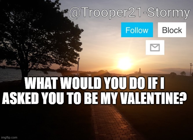 Trooper21-Stormy | WHAT WOULD YOU DO IF I ASKED YOU TO BE MY VALENTINE? | image tagged in trooper21-stormy | made w/ Imgflip meme maker