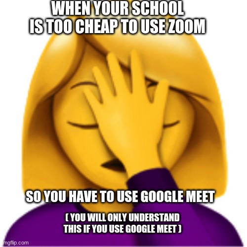 why | WHEN YOUR SCHOOL IS TOO CHEAP TO USE ZOOM; SO YOU HAVE TO USE GOOGLE MEET; ( YOU WILL ONLY UNDERSTAND THIS IF YOU USE GOOGLE MEET ) | image tagged in why | made w/ Imgflip meme maker