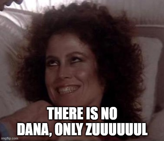 No Dana; only ZUUL | THERE IS NO DANA, ONLY ZUUUUUUL | image tagged in no dana only zuul | made w/ Imgflip meme maker