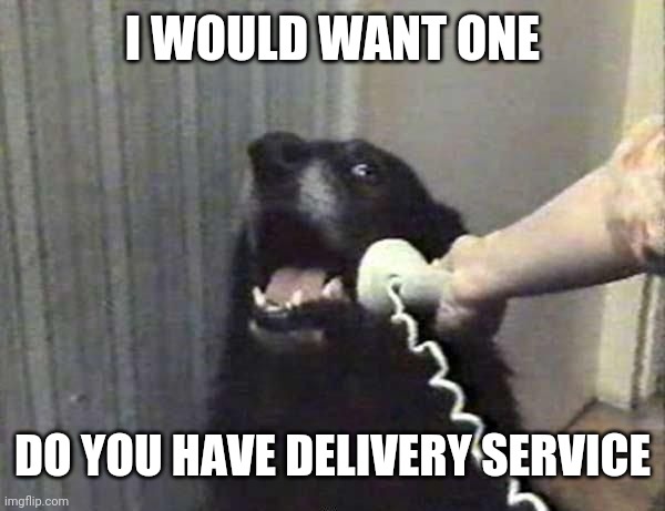 Dog Phone | I WOULD WANT ONE DO YOU HAVE DELIVERY SERVICE | image tagged in dog phone | made w/ Imgflip meme maker