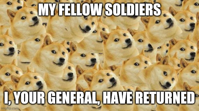 Multi Doge Meme | MY FELLOW SOLDIERS; I, YOUR GENERAL, HAVE RETURNED | image tagged in memes,multi doge | made w/ Imgflip meme maker