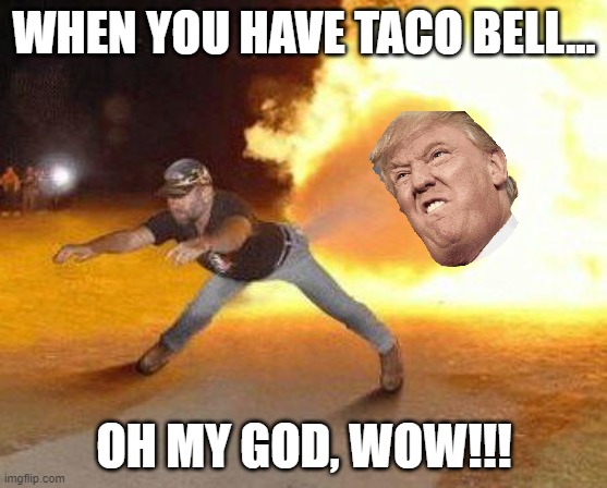Taco Bell Strikes Again  | WHEN YOU HAVE TACO BELL... OH MY GOD, WOW!!! | image tagged in taco bell strikes again | made w/ Imgflip meme maker