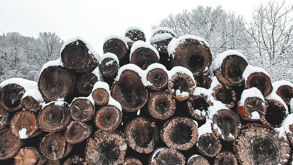 Snowy log pile Blank Meme Template