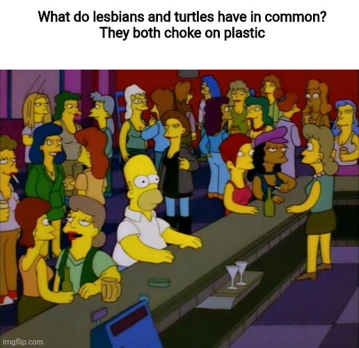 My friend told me this | What do lesbians and turtles have in common?
They both choke on plastic | image tagged in homer simpson me on facebook | made w/ Imgflip meme maker