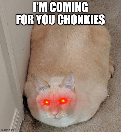 I'M COMING FOR YOU CHONKIES | made w/ Imgflip meme maker