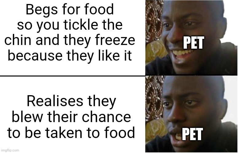 Sorry if u don't like this on this stream, blaziken_650s did say anything goes tho | Begs for food so you tickle the chin and they freeze because they like it; PET; Realises they blew their chance to be taken to food; PET | image tagged in disappointed black guy | made w/ Imgflip meme maker