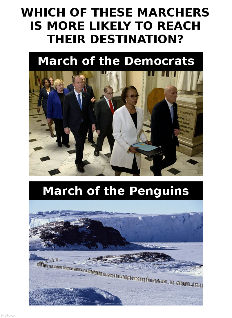 March of the Penguins | image tagged in penguins,democrats,stupid,pelosi,impeachment,trump | made w/ Imgflip meme maker