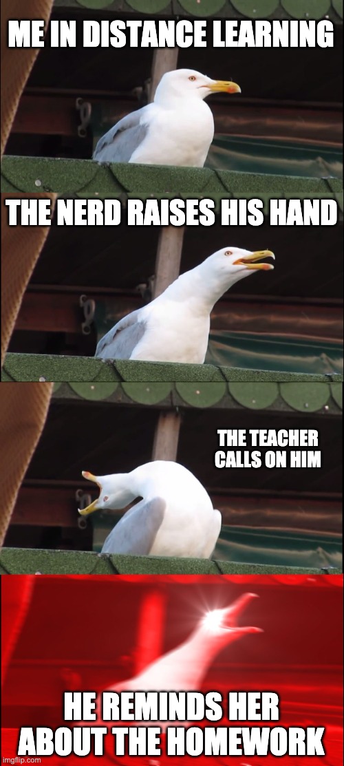 Inhaling Seagull Meme | ME IN DISTANCE LEARNING; THE NERD RAISES HIS HAND; THE TEACHER CALLS ON HIM; HE REMINDS HER ABOUT THE HOMEWORK | image tagged in memes,inhaling seagull | made w/ Imgflip meme maker
