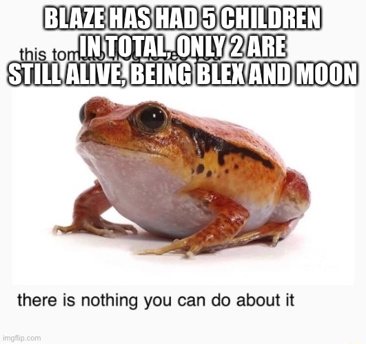 Wait I meant she had 7 children | BLAZE HAS HAD 5 CHILDREN IN TOTAL, ONLY 2 ARE STILL ALIVE, BEING BLEX AND MOON | made w/ Imgflip meme maker