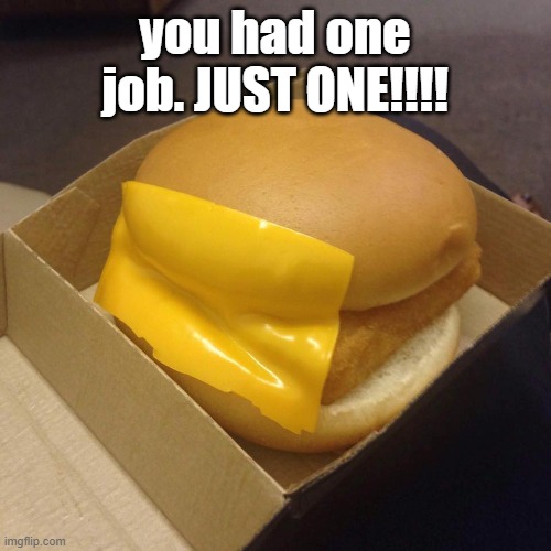 You had ONE job | you had one job. JUST ONE!!!! | image tagged in you had one job | made w/ Imgflip meme maker