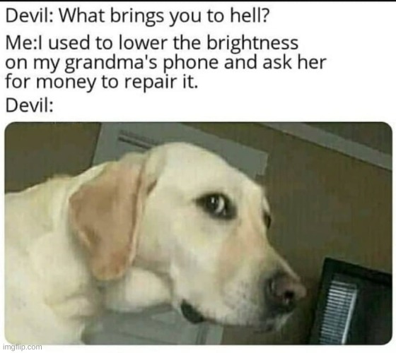 What Brings You To Hell | image tagged in dog,lol so funny,wtf | made w/ Imgflip meme maker