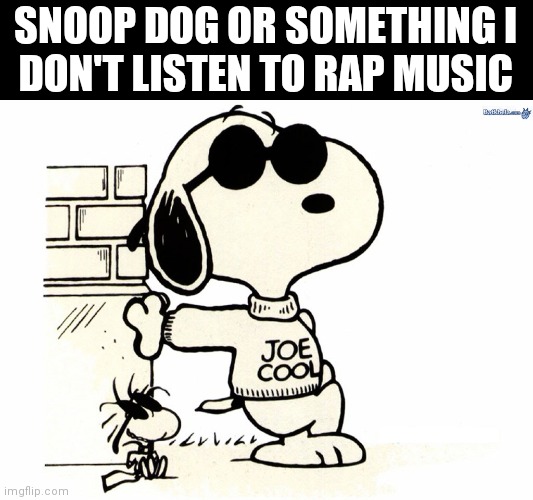 Snoopy Joe Cool | SNOOP DOG OR SOMETHING I
DON'T LISTEN TO RAP MUSIC | image tagged in snoopy joe cool | made w/ Imgflip meme maker
