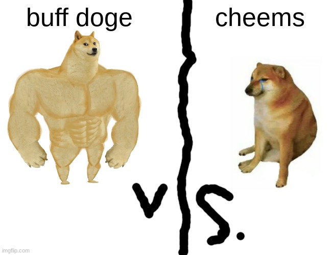 buff doge vs cheems | buff doge; cheems | image tagged in memes,buff doge vs cheems | made w/ Imgflip meme maker