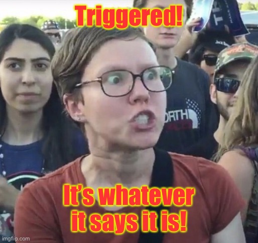 Triggered feminist | Triggered! It’s whatever it says it is! | image tagged in triggered feminist | made w/ Imgflip meme maker