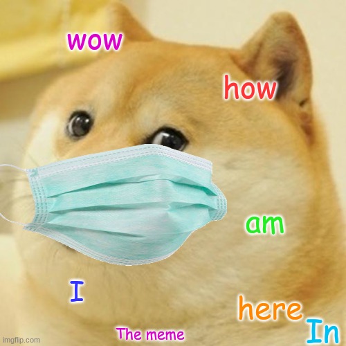 mask doge | wow; how; am; I; here; In; The meme | image tagged in memes,doge | made w/ Imgflip meme maker