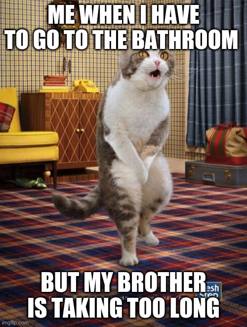 Gotta Go Cat | ME WHEN I HAVE TO GO TO THE BATHROOM; BUT MY BROTHER IS TAKING TOO LONG | image tagged in memes,gotta go cat | made w/ Imgflip meme maker
