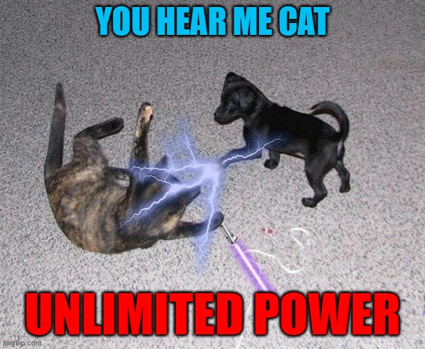 UNLIMITED POWER!!!! | YOU HEAR ME CAT; UNLIMITED POWER | image tagged in dogs,animals,cats,dogs vs cats | made w/ Imgflip meme maker
