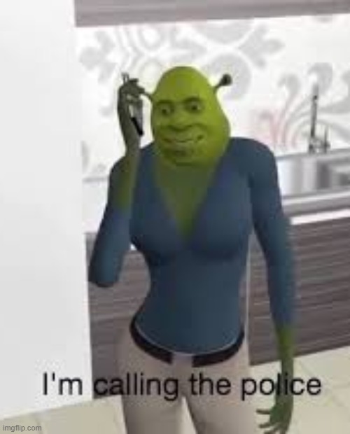 Shrek I'm calling the police | image tagged in shrek i'm calling the police | made w/ Imgflip meme maker
