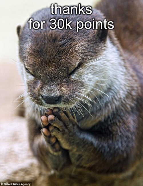yay | thanks for 30k points | image tagged in thank you lord otter | made w/ Imgflip meme maker