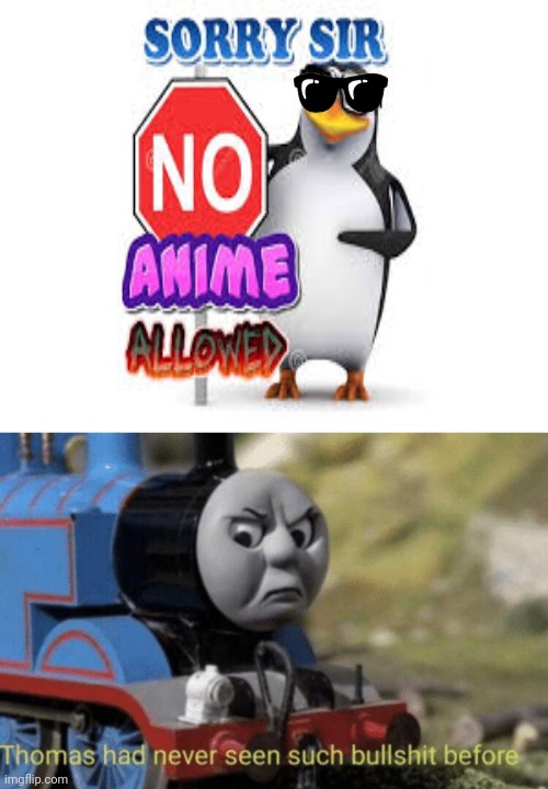 Thomas Vs penguin | image tagged in thomas had never seen such bullshit before,no anime allowed | made w/ Imgflip meme maker