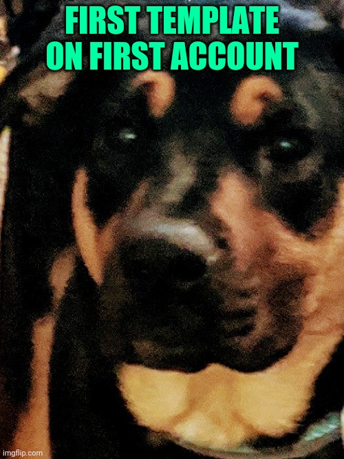 *sigh* he was so cute. Now he's fat | FIRST TEMPLATE ON FIRST ACCOUNT | image tagged in the mad dog | made w/ Imgflip meme maker