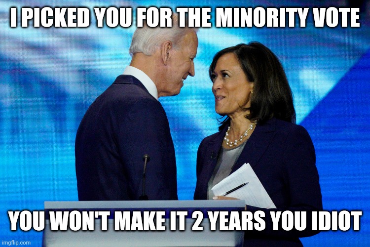 I PICKED YOU FOR THE MINORITY VOTE; YOU WON'T MAKE IT 2 YEARS YOU IDIOT | image tagged in politics | made w/ Imgflip meme maker